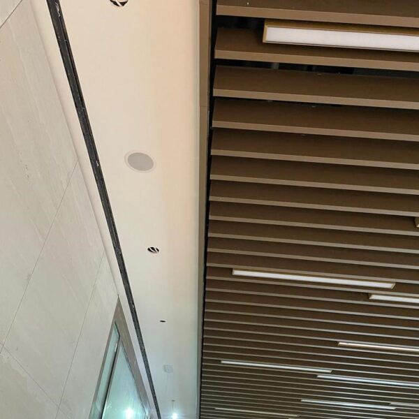 IMG-5274